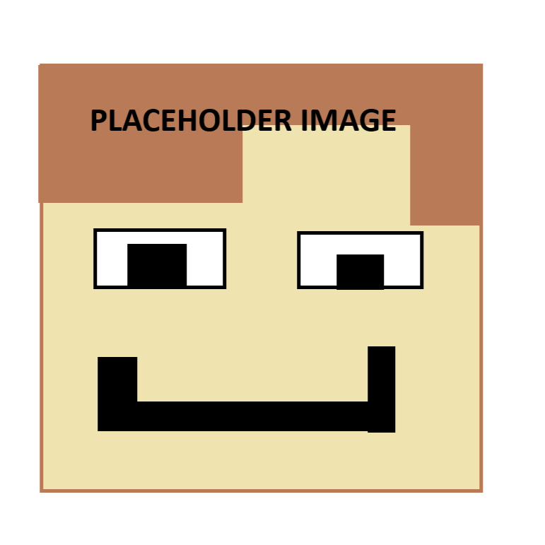 Custom Minecraft Skin Plushie